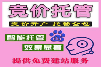 SEM推广托管，成功案例见证实力